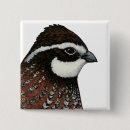 Search for quail badges Poultry