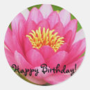 Search for pink lotus flower stickers Water lily