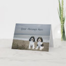 Search for springer spaniel cards Dog