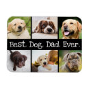 Search for pet rectangular magnets Fun