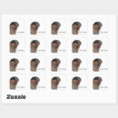 Search for saw stickers I saw that