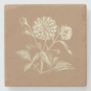 Search for botanical illustration barware Nature