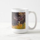 Search for mule deer mugs Antlers
