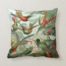 Search for hummingbird cushions Nature
