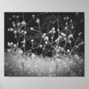 Search for whimsy photography Whimsical