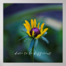 Search for differentness posters Flower