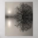 Search for black oak tree art Black and white