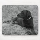 Search for lab” mousepads Chocolate lab