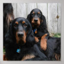 Search for pal posters Animal