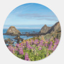 Search for california one stickers Beach