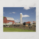 Search for farm with cows postcards Rural