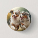 Search for aussie shepherd badges Dog