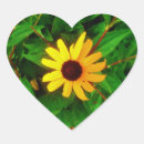 Search for susan stickers Wildflower