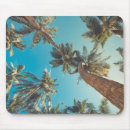 Search for tropical palm tree mousepads Outdoors