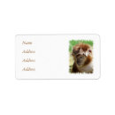 Search for monkey return address labels Wild