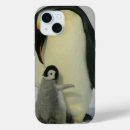 Search for baby penguin iphone cases Penguins