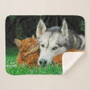 Search for siberian husky blankets Cute