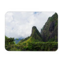 Search for needle magnets Landscape