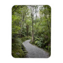 Search for forest path magnets Outdoors