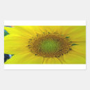 Search for sunflower scrapbook stickers Plant