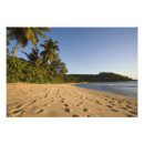 Search for seychelles travel posters Tropical