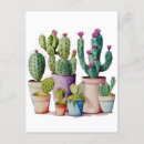 Search for potted postcards Boho