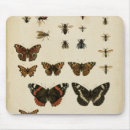 Search for caterpillar mousepads Butterflies