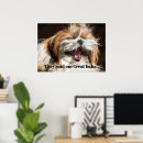 Search for funny text posters Cute