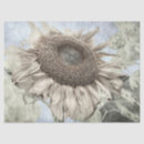 Search for pastel yellow tissue paper Floral