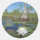 Search for lily flower stickers Landscape