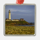 Search for pigeon christmas tree decorations Coast