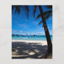 Search for cocoanut Yacht