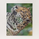 Search for jaguar puzzles Feline