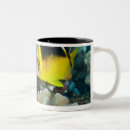 Search for coral reef fish mugs Outdoors