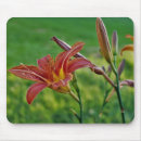 Search for tiger lily mousepads Summer