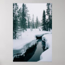 Search for ice on stream posters Snow