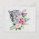 Search for black white leopard postcards Safari