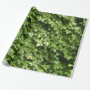 Search for ivy wrapping paper Wall