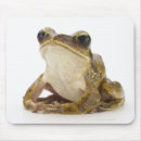 Search for digitally enhanced electronics Animal