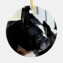 Search for black and white dog christmas tree decorations Canine