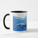 Search for bottlenose dolphin mugs Mexico