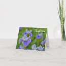 Search for iris greeting Florist