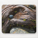 Search for currents mousepads Nature