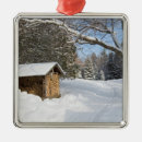 Search for winter scene christmas tree decorations Frozen