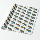 Search for frog illustration Amphibian