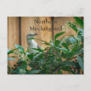 Search for native bird postcards Wild
