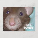 Search for rat postcards Animal