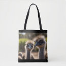 Search for emu bags Wildlife