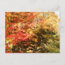 Search for autumn landscapes postcards River