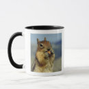 Search for squirrel eating mugs Animal